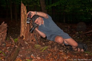 David Shooting Macro - Photograph by Pelle Haldin - Misery Mountain, Valley Forge National Historical Park, Pennsylvania - August 10, 2008