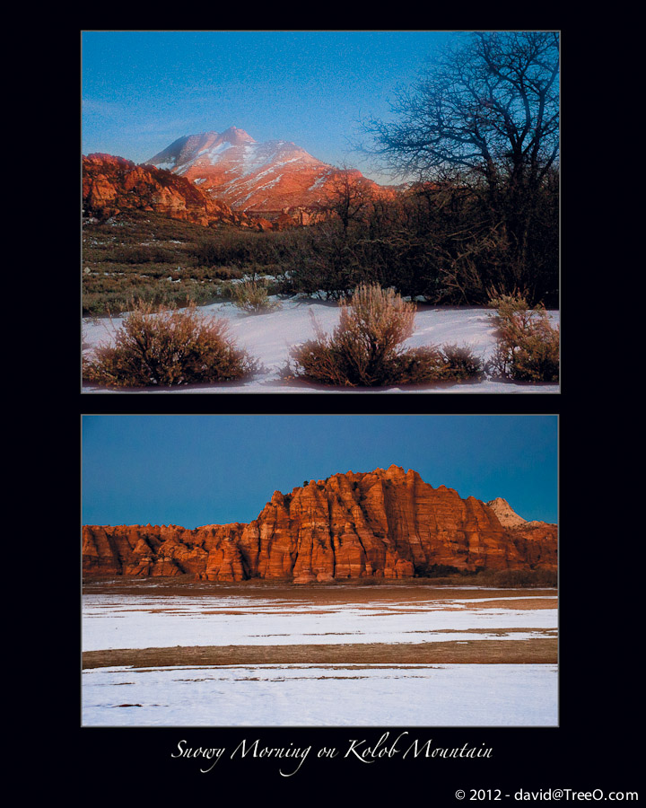 Snowy Morning on Kolob Mountain - Virgin, Utah - February 2, 2009