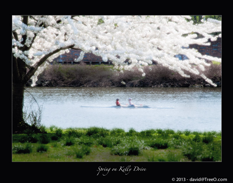 Spring on Kelly Drive