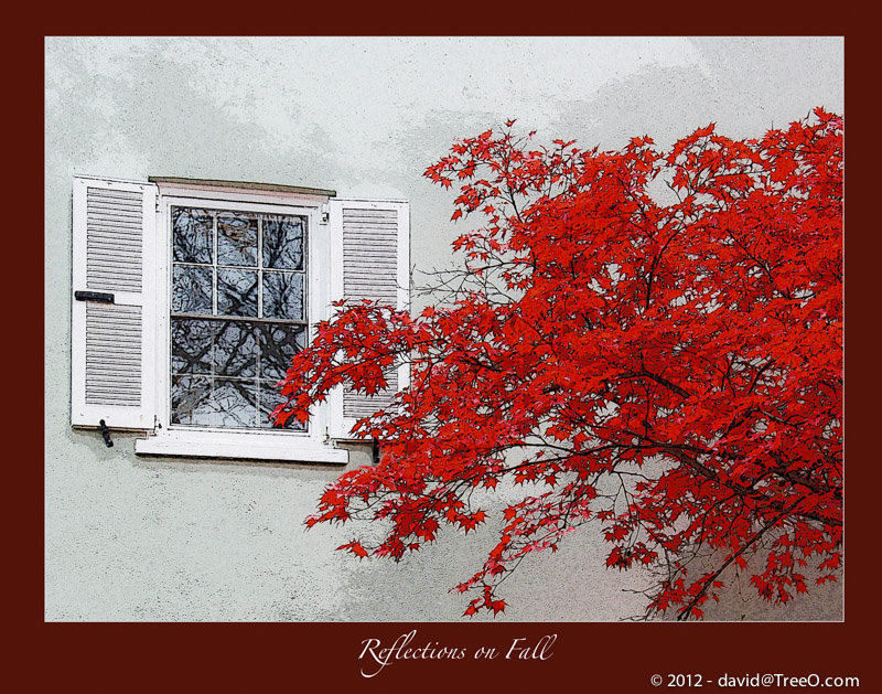 Reflections on Fall - Yellow Springs, Pennsylvania - November 17, 2007